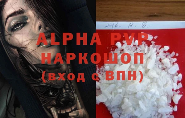 jwh Ладушкин