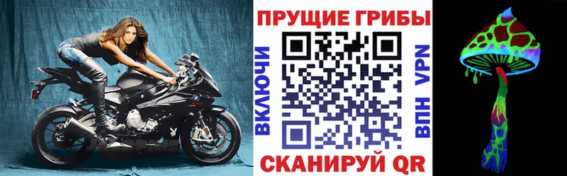 Купить  Байкальск  Псилоцибиновые грибы Psilocybine cubensis 